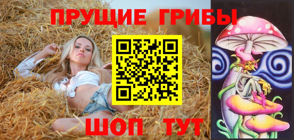 Псилоцибиновые грибы прущие грибы Гулькевичи